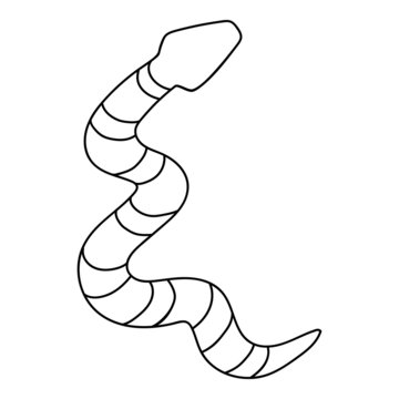 Snake in doodle style, single, linear image of a wriggling serpent, contour icon
