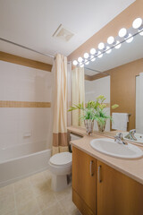 Fragment of a luxury bathroom