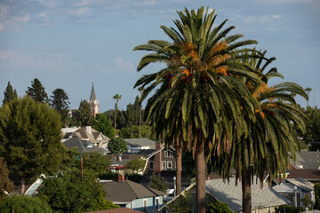 Fototapeta na wymiar Palm framed view of the historic downtown skyline of the city of Orange, California, USA.