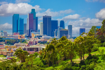 Fototapeta premium Lush foliage fills the hillsides in Los Angeles in springtime.