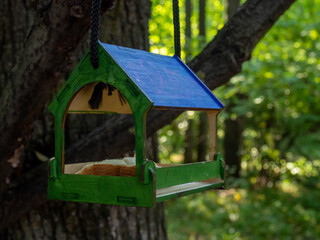 Bird feeder in the forest in the form of a house.
