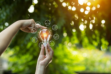 light bulb against nature, icons