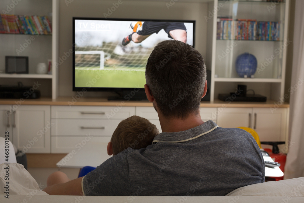 Poster Rear view of father and son sitting at home together watching football match on tv