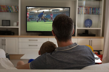 Rear view of father and son sitting at home together hockey match on tv