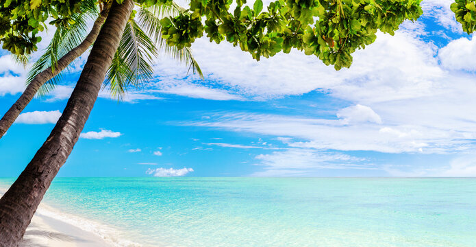Tropical island landscape, white sand beach, turquoise sea water, ocean waves, green palm tree leaves, blue sunny sky clouds, exotic nature, summer holidays, vacation, travel, luxury resort relaxation