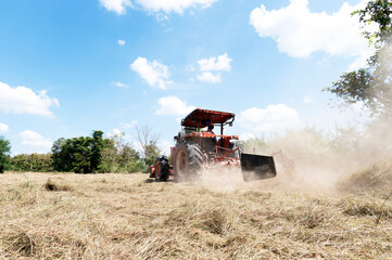 agricultural machinery Tractor with mower on a golden field Pangola hay harvesting ideas, hay, commercial Pangola hay farms.