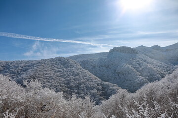제주도 한라산의 아름다운 설경이다.