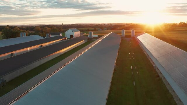 Sunset over rural farm buildings. Solar panels on rooftop of chicken houses in USA. Clean green energy. Renewable power from sun. Beautiful sunset, sunrise.