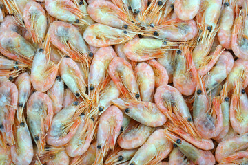 close up on frozen cooked prawns as food background