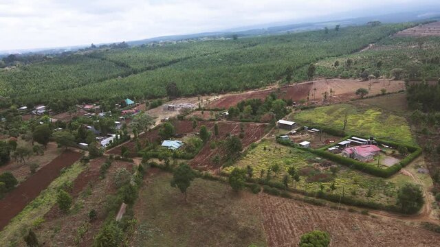 Top down view of forest, woodland aerial shot. Drone fly over forest cover trees and yellow treetops.Drone flying over a small village in kenya. Flight over woods, Climate change Paris Agreement 2021