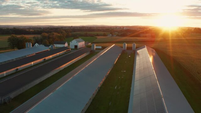 Solar panels on rooftop of chicken house. Agriculture green energy, clean electricity theme. Aerial at sunrise, sunset.