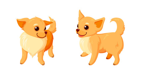 Playful chihuahua dogs. Chihuahua puppies with curly tails isolated in white background. Vector illustration in cute cartoon style
