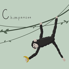 Cute fluffy chimpanzee in the whisty jungle on a liana. Letter C from the alphabet. Cute baby animal illustration.