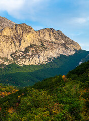 Mountains and forest in sunshine