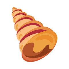 sea shell cone