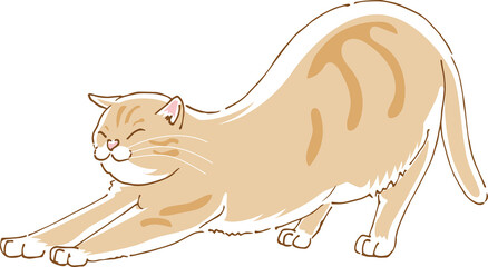 伸びをしているかわいい猫のイメージイラスト