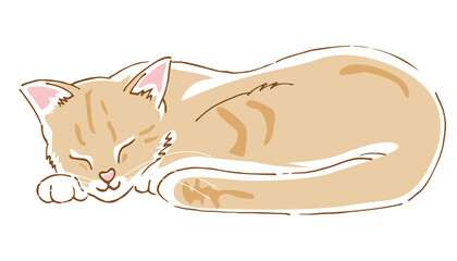 眠っているかわいい猫のイメージイラスト