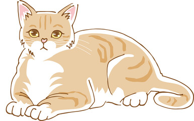 伏せているかわいい猫のイメージイラスト