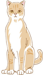 正面を向いているかわいい猫のイメージイラスト