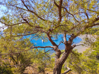 View of the stone beach at the site of the ancient Lycian city of Phaselis. Historic site
