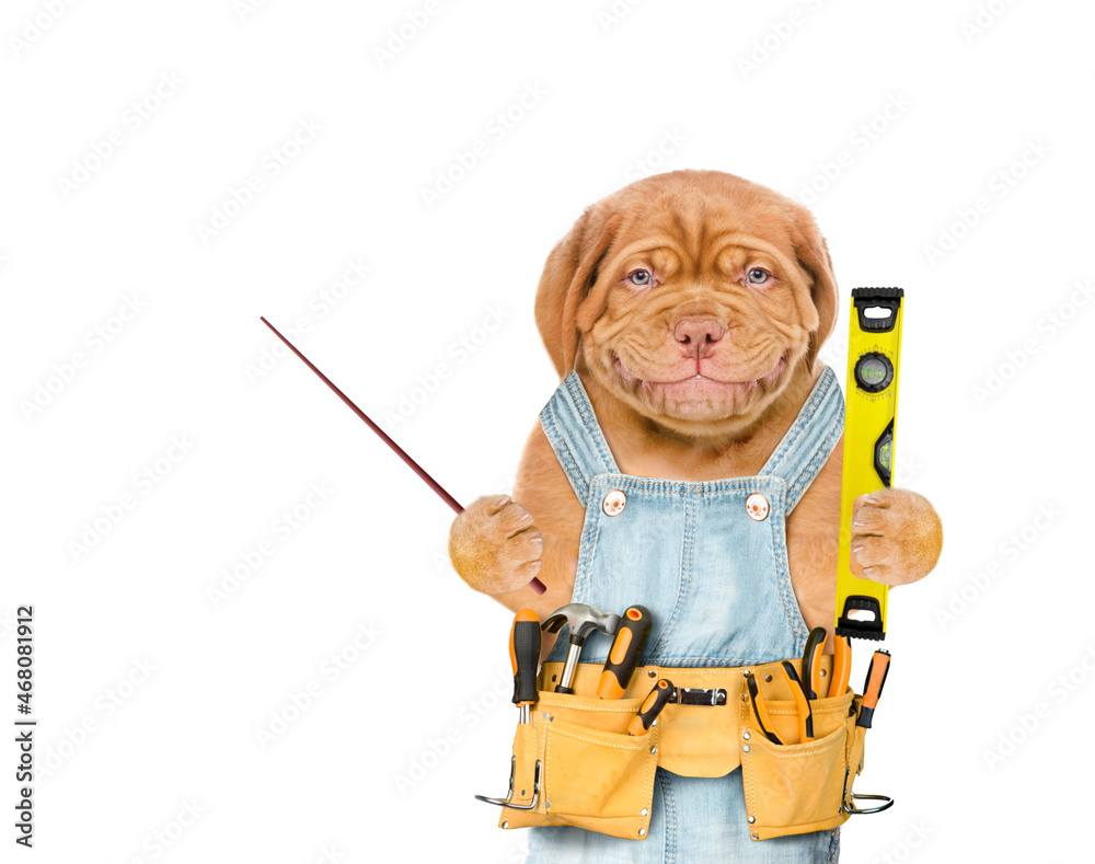 Aufkleber Smiling puppy worker wearing overalls with tool belt holds spirit level and points away on empty space.  Isolated on white background