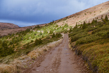 road in the mountain