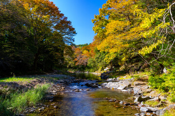 秋の嵐山渓谷 冠水橋からの眺望 渓流と紅葉と青空2
