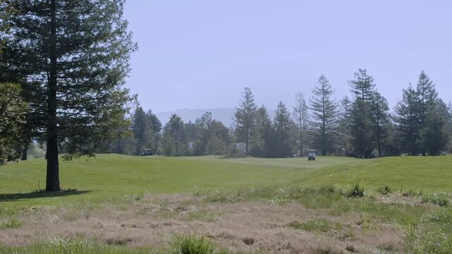 Golf course fairway with golf carts clear skies