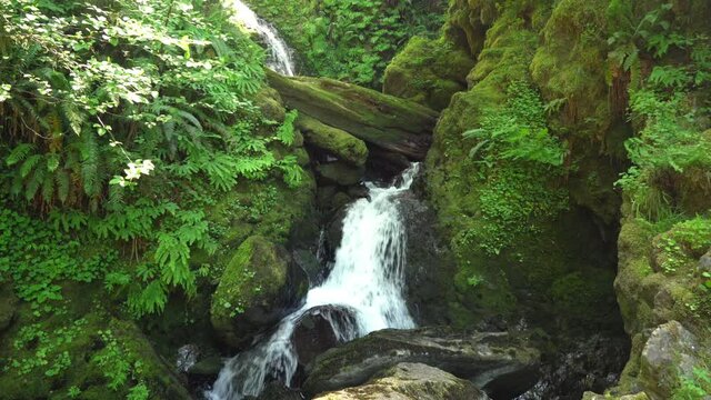 Wide waterfall In the rainforests of the Pacific Northwest (Washington) cascades down the rocks.
