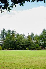 茨木の公園の無人芝生と風景