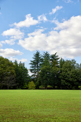 Fototapeta na wymiar 茨木の公園の無人芝生と風景