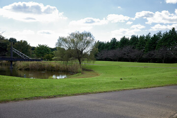 茨木の公園の無人芝生と風景