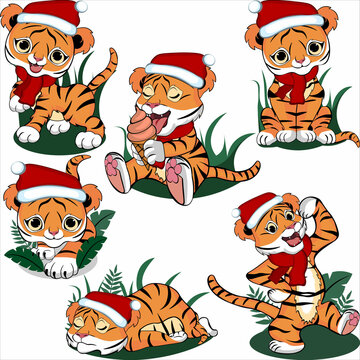 The little tiger stands, crawls, sleeps, eats, walks and sits. Collection of drawings of a small New Year's tiger. Vector illustration
