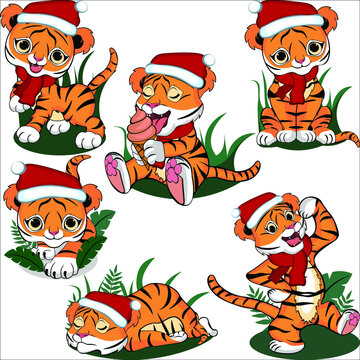The little tiger stands, crawls, sleeps, eats, walks and sits. Collection of drawings of a small New Year's tiger. Vector illustration