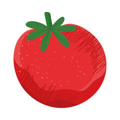 fresh tomato vegetable