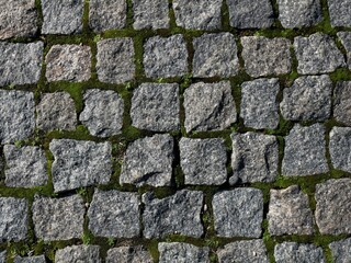 moss overgrown stone tiles in the structure of a park path as a texture backdrop for a combination of living and inanimate, exterior background of an old pavement with mossy borders of decorative ston