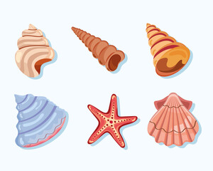 six sea shells icons