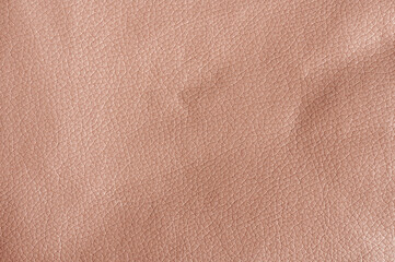 Fototapeta premium Leather structure on brown skin