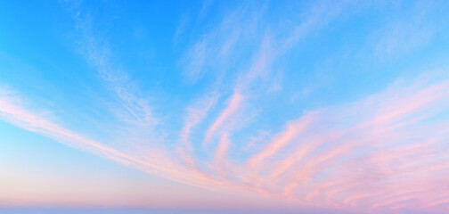 Pink сirrus clouds blue sky panoramic background, cirrostratus cloud texture, purple evening sunset, red dawn heaven, morning sunrise cloudscape, striped fluffy wispy cloudy skies, cloudiness panorama