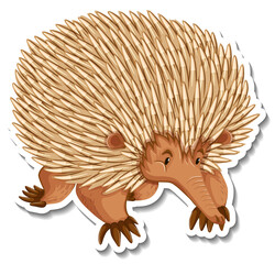 Echidna cartoon character on white background