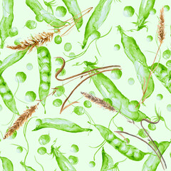 Seamless hand drawn watercolor pattern: sweet green pea pods and peas.pattern for fashion prints for printing fabrics, paper, background, cloth, packaging.  seamless pattern with green beans,spikelet.
