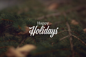 happy holidays graphic in front of pine trees in forest
