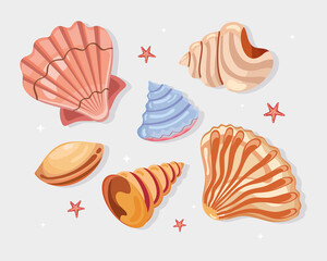 ten sea shells icons