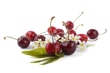 Cherries, leaves and flowers