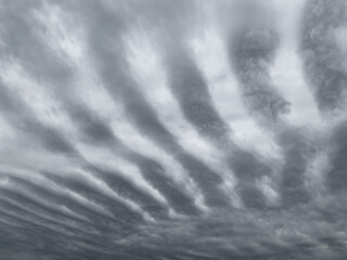 Cloudy sky covered with odd cirrocumulus.
