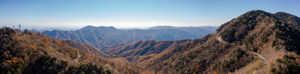 Fototapeta premium 紅葉の山のパノラマ空撮