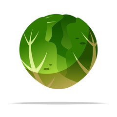Brussels sprout vegetable vector isolated illustration