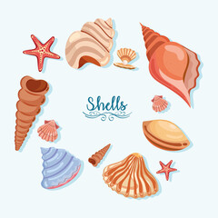 twelve sea shells icons