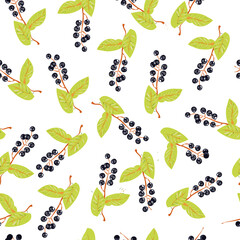 Vector seamless pattern with birdcherry on white