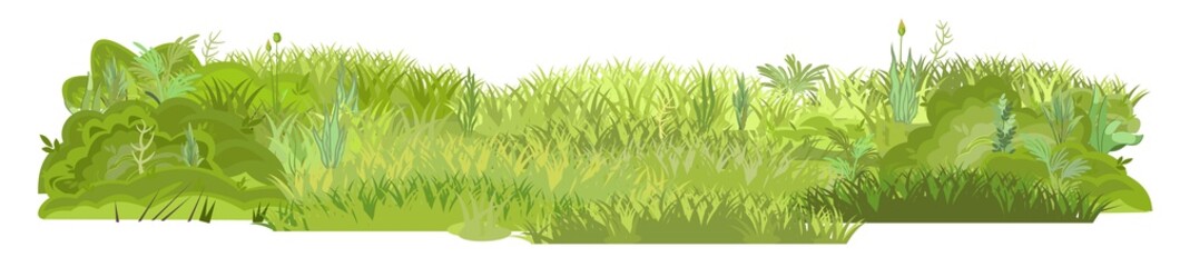 Dense summer meadow. Herbal green thickets. Grass area. Playground. A place. Beautiful and graceful landscape. Isolated on white background. Flat style. Cartoon design. Vector
